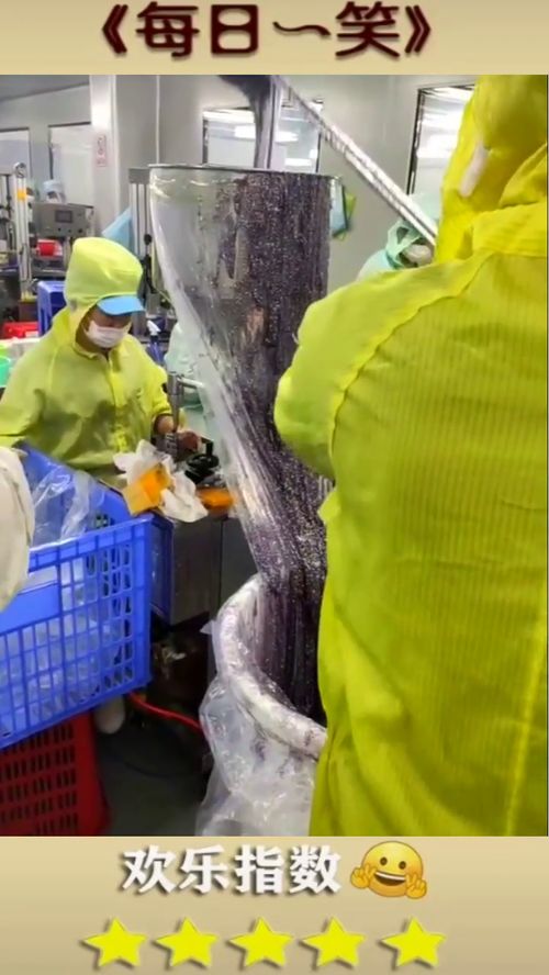 揭秘化妝品生產(chǎn)流水線 面膜是如何被裝袋的